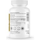 ZeinPharma Ginkgo, 100 mg - 120 cápsulas