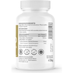 ZeinPharma Gélules de Ginkgo 100 mg - 120 gélules