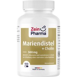 ZeinPharma Cardo Mariano + Colina, 500 mg
