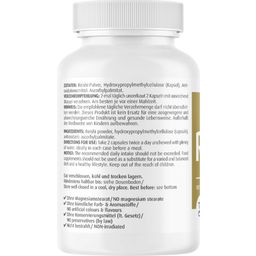 ZeinPharma Reishi Mono 450 mg - 120 Kapsułek