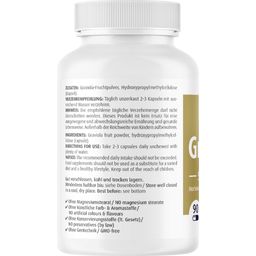 ZeinPharma Graviola 500 mg - 90 capsules
