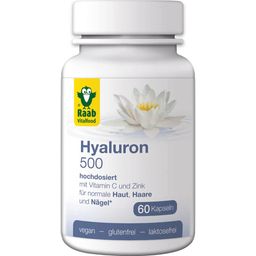 Raab Vitalfood Hyaluronic Acid 500 - 60 capsules