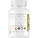 ZeinPharma Curcumin-Triplex³, 500 mg - 40 cápsulas