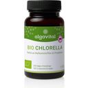 algavital Chlorella bio - 240 Drażetek