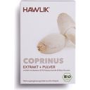 Bio extrakt + prášok z huby Coprinus vo forme kapsúl - 60 kapsúl