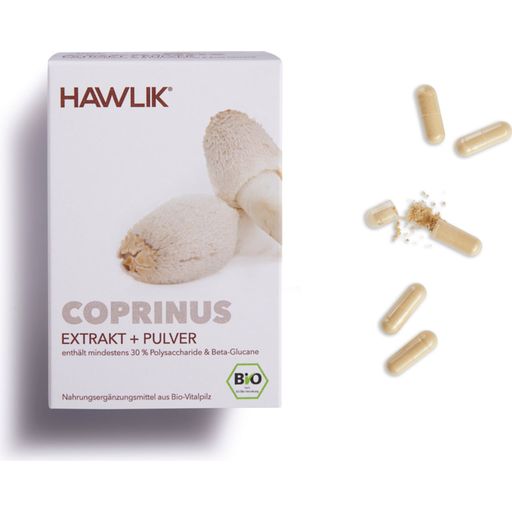 Coprinus ekstrakt + Coprinus v prahu - organske kapsule - 120 kaps.