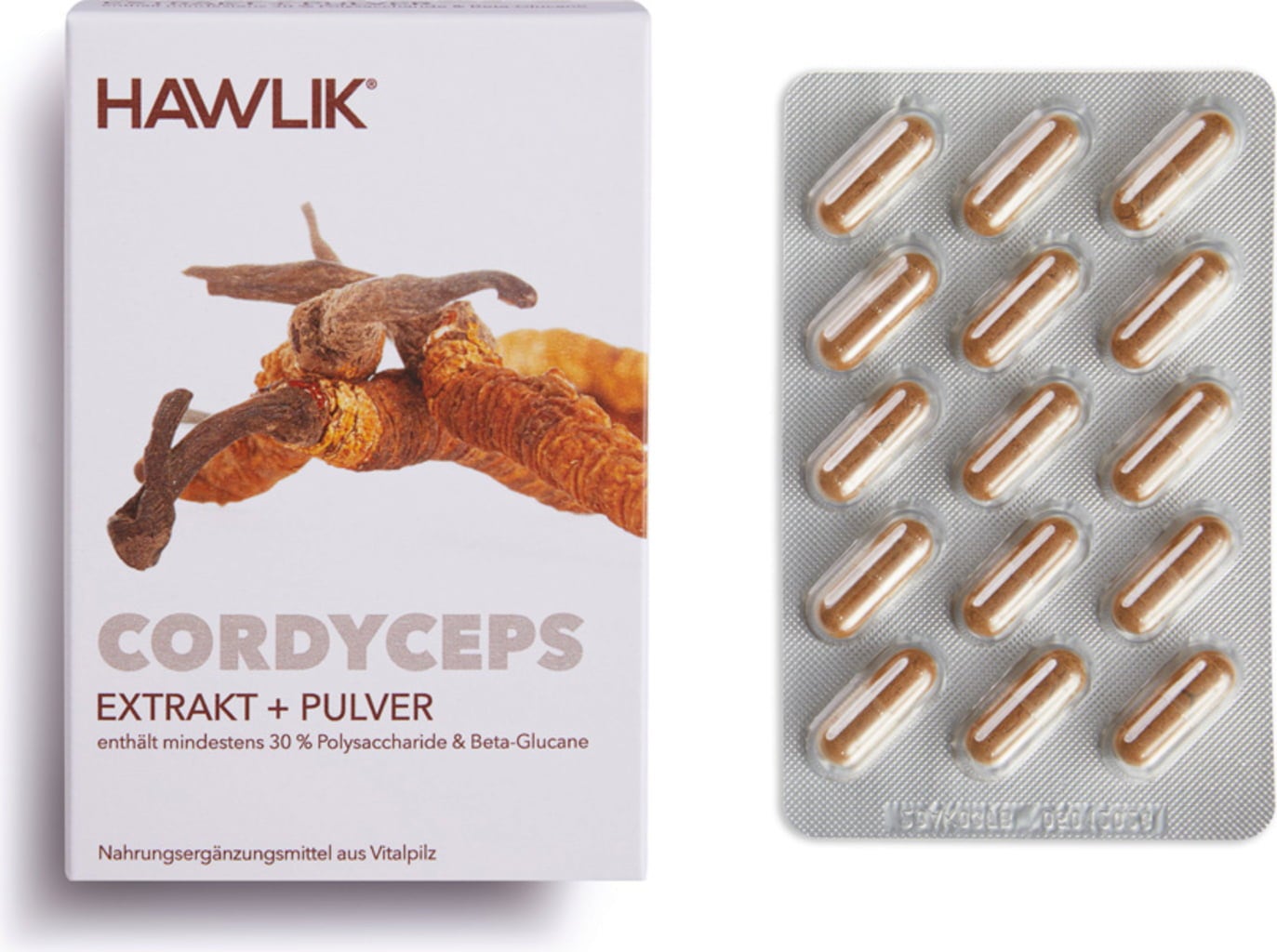 Extrakt + prášok z huby Cordyceps v kapsulách - 60 kapsúl
