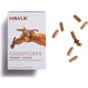 Hawlik Cordyceps en Cápsulas - Extracto + Polvo - 120 cápsulas