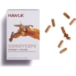 Hawlik Cordyceps Extrakt + Pulver Kapseln - 120 Kapseln
