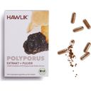 Polyporus ekstrakt + prah - organske kapsule - 60 kaps.