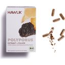 Hawlik Polyporus-uute + jauhekapselit, luomu - 120 kapselia