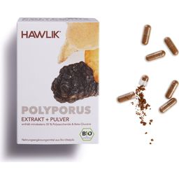 Bio extrakt + prášok z huby Polyporus vo forme kapsúl - 120 kapsúl