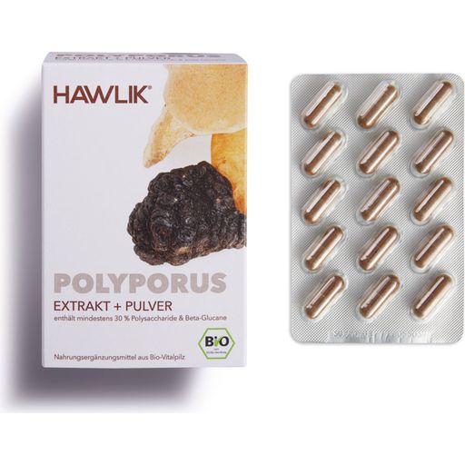 Polyporus ekstrakt + prah - organske kapsule - 120 kaps.