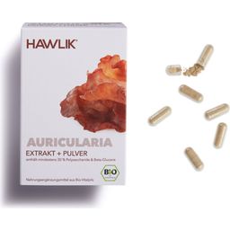 Bio extrakt + prášok z huby Auricularia v kapsulách - 120 kapsúl