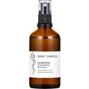 Saint Charles Raumspray Mood Balance - 100 ml