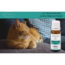 Care4mypet Bach Flower Relax - Cats - 10 g