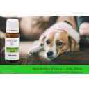 Care4mypet Bach Flowers Anti Stress - Dogs - 10 g