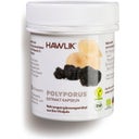 Polyporus Extract Capsules, Organic, 60 capsules
