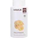 Hawlik Polyporus Extract Capsules, Organic - 240 capsules