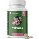 FutuNatura Valerian - 90 tablets