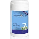 No. 7 - Fountain of Youth - For Equestrians, 60 capsules
