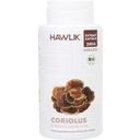 Hawlik Coriolus Extrakt Kapseln, Bio - 240 Kapseln