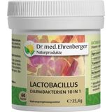 Dr. med. Ehrenberger Bio- & Naturprodukter Lactobacillus tarmbakterier 10in1