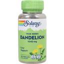 Solaray Dandelion - 100 kapsúl