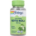 Solaray Gotu kola (wąkrotka azjatycka) - 100 Kapsułek roślinnych
