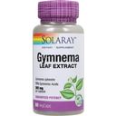 Solaray Gymnema Leaf Extract - 60 Vegetarische Capsules