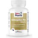 ZeinPharma Astragalus Pro 500/50 - 60 capsules