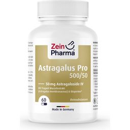 ZeinPharma Astragalus Pro 500/50 - 60 gélules