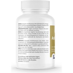 ZeinPharma Astragalus Pro 500/50 - 60 capsule