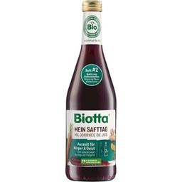 Biotta Mein Safttag 2, Bio - 500 ml