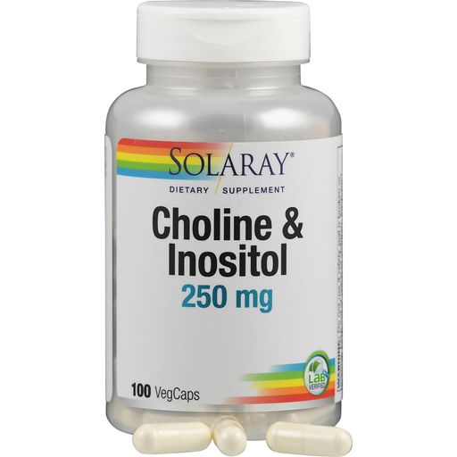 Solaray Choline & Inositol Capsules - 100 veg. capsules