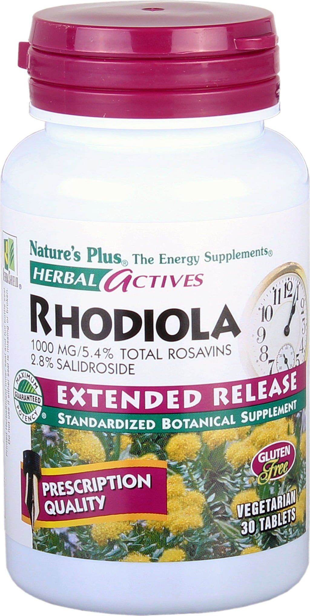 Herbal actives Rhodiola