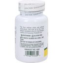 Nature's Plus Vitamin B2 100 mg - 90 tablet