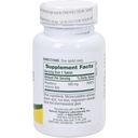 Nature's Plus B2-vitamiini 100 mg - 90 tablettia