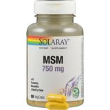 Solaray MSM Capsules