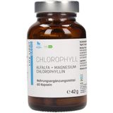 Life Light Chlorofyl