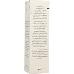 Carry Bottle Glazen Fles - BOHO RAINBOW, 0,7 L - 1 stk