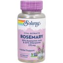 Solaray Rosemary Leaf Extract