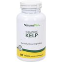 Nature's Plus Algas Kelp - 300 comprimidos