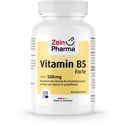 ZeinPharma Vitamin B5 Forte 500 mg - 120 capsules