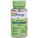 Solaray Fenugreek Seeds - 100 capsules