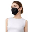 AnDum Masque de Protection FFP2 Coloré - Black