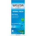 Weleda Sage Deodorant - Salvia deodorant - 100 ml