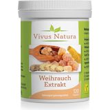 Vivus Natura Extrakt z kadidla + zázvor + kurkuma