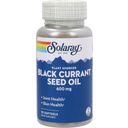 Svart Vinbärsfröolja (Black Currant Seed Oil) - 90 Softgels
