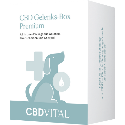 CBD VET Box Articulations Premium pour Chiens - 1 boîte